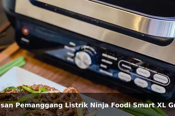 Ulasan Pemanggang Listrik Ninja Foodi Smart XL Grill: Memanggang Tanpa Asap dengan Hasil Sempurna